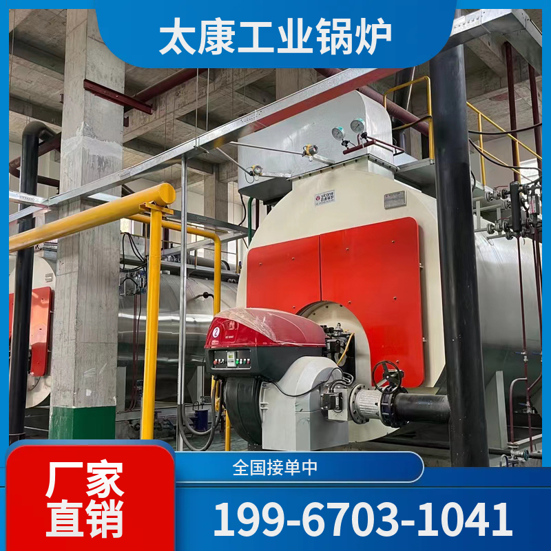 来宾链条锅炉